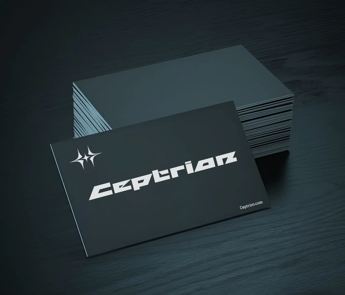 Ceptrion brand identity, image 6