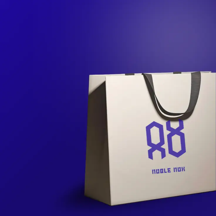 Noble Nox brand identity, image 9